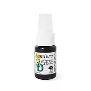 [時代中西畫材]美國捷卡 盧米爾 3D金屬色繪布筆 24色全色系組合 (贈黑色帆布袋乙個)