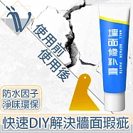 Viita 專業級無痕防水補牆膏/縫隙裂痕修補膏 250g/贈刮板
