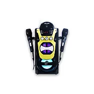 【ifive】練歌神機行動KTV音響 流沙金 流沙金