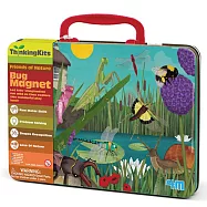 【4M】04704 學齡前啟蒙 蟲蟲世界磁貼組 Bug Magnets