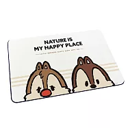 Disney 迪士尼 奇奇蒂蒂系列 軟式珪藻土地墊_ 大頭奇奇蒂