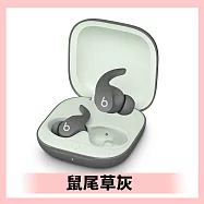 Beats Fit Pro 真無線降噪藍牙耳機 (原廠公司貨) 鼠尾草灰