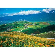 【台製拼圖】25-006 台灣風景-花蓮六十石山金針花海 (520片)