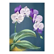 【玲廊滿藝】施惠敏-粉紫幽香47.5x34cm