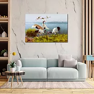 【御畫房】鶴舞 國家一級畫師手繪油畫60×90cm VF-13 (客製商品)