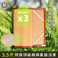 《神田職人》3D頂級特厚【柔藤】透氣涼蓆-B 單人加大3.5尺 棉麻 床蓆 不夾髮膚 熱銷涼蓆推薦