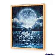 [HOMEHERE] DIY鑽石畫/海豚 月光盛宴(全新升級版)