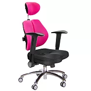 GXG 高背美臀 雙背椅 (鋁腳/摺疊升降扶手) TW-2504 LUA1(請備註顏色)