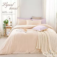 《DUYAN 竹漾》台灣製 60支萊賽爾天絲雙人加大床包三件組 / 焙香歐蕾