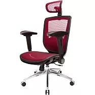 GXG 高背全網 電腦椅 (鋁腳/4D弧面摺疊扶手) TW-81X6 LUA1D 請備註顏色