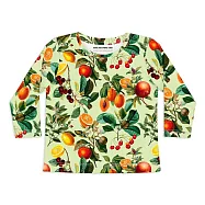 SLEEP NO MORE 100%?有機棉兒童圓領長袖上衣-果實 2-4 Y