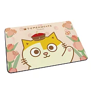 【黃阿瑪的後宮生活】軟式珪藻土地墊 珪藻土 地墊 硅藻土 花花黃阿瑪