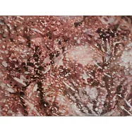 【玲廊滿藝】張雅棠-行道樹與初雪75x100cm