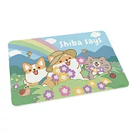 【柴語錄】珪藻土吸水地墊 自製款 珪藻土 地墊 阿吉 太子 春天