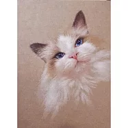 【玲廊滿藝】鄭阿貓-布偶貓14.9x21.2cm