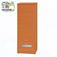 【文創集】南亞塑鋼 賴恩多彩1.6尺上捲門下單抽中高鞋櫃(二色可選) 原木紋