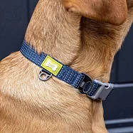 《Built》夜間反光寵物項圈 | 狗狗項圈 貓咪項圈 - M