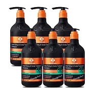 《台塑生醫》Dr’s Formula恆采固色洗髮精(清爽空氣感)580g*6入