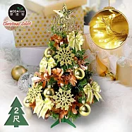 摩達客耶誕-2尺/2呎(60cm)台灣製特仕幸福型裝飾綠色聖誕樹 (香檳雙金系全套飾品)+20燈LED燈插電式暖白光*1/贈控制器/本島免運費