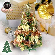 摩達客耶誕-2尺/2呎(60cm)台灣製特仕幸福型裝飾綠色聖誕樹 (宮廷小奢華金系全套飾品)+20燈LED燈插電式暖白光*1/贈控制器/本島免運費