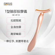 【西歐科技】 T字美容按摩儀