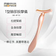 【西歐科技】 T字美容按摩儀 買一送一