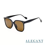 【ALEGANT】田納棕度假風韓版復古時尚中性方框輕量TR90寶麗來偏光墨鏡/UV400太陽眼鏡