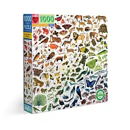eeBoo 1000片拼圖 - 彩虹世界 A Rainbow World 1000 Piece Puzzle