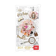 TOi 圖益【拼個球系列-哈利波特】 3D球型拼圖 吊飾 DIY生日插畫桌遊畢業禮物 赫敏·格蘭傑