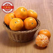 【水果達人】特選25A茂谷柑x1箱(10斤&plusmn;10%/箱；28-36顆)