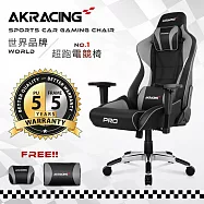 AKRACING超跑電競椅大師旗艦款-GT666 PRO X SERIES-灰