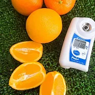 【水果達人】多汁無籽肚臍丁禮盒12顆 1盒(美國/澳洲/南非/140-180克/1顆)