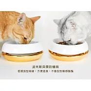 【PUMIKZ波米斯官方賣場】全新上市「白/金Bagel防蟻碗」，貝果防蟻碗(貓碗)金色，無毒陶器臺灣設計製造。 白/金雙色