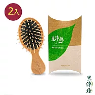 日本黑淬絲 氣墊按摩木梳(隨身款)X2入 頭皮按摩 順髮美髮 防靜電