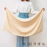 【新田TOWEL】有機棉柔無漿生浴巾- (自然棕) | 鈴木太太公司貨