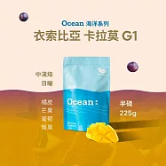 【江鳥咖啡 RiverBird】衣索比亞 卡拉莫 中淺焙半磅豆 (半磅)