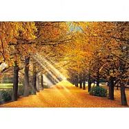 【台製拼圖】日本金色銀杏並木-東京 (1000pcs) HM100-274