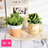 【Meric Garden】創意北歐仿真療癒小綠植盆栽/桌面裝飾擺設_ (香芹+海棠葉)2款一組