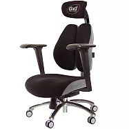 GXG 雙軸枕 DUO KING 工學椅(鋁腳/4D升降扶手) TW-3606 LUA3
