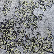 【玲廊滿藝】鍾奕華-花之影-6-32x32cm