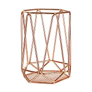 《Premier》Vertex餐具收納筒 | 餐具桶 碗筷收納筒 - 玫瑰金