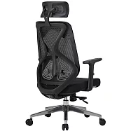 【Style 格調】仿生蝶型雙腰托 人體工學椅(脊椎解放/減壓/雙腰托設計/電腦椅/辦公椅) 深邃黑