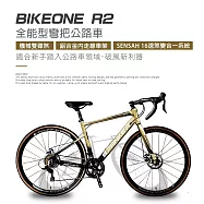 BIKEONE R2 鋁合金內走線SENSAH 16速變速機械碟煞全能型彎把公路車煞變合一適合新手踏入公路車領域破風新利器 棕/黑