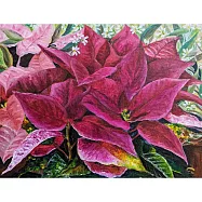 【玲廊滿藝】Su-花現美好~聖誕紅 紅了!31.5x41cm