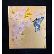 【玲廊滿藝】官瑛-蝶舞27x24cm