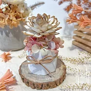 【The Forest 癒森林】上野初戀木櫻香氛擴香花(附贈5ml香氛油)