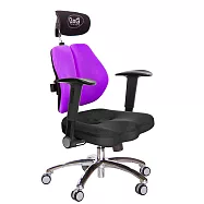 GXG 兩軸枕 雙背美臀椅 (鋁腳/摺疊升降扶手) TW-2534 LUA1