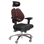 GXG 兩軸枕 雙背美臀椅 (鋁腳/4D弧面摺疊扶手) TW-2534 LUA1D