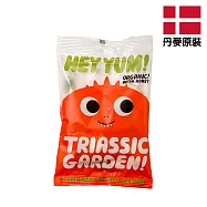 【PALIER】HEY YUM! 丹麥優格水果軟糖100g-