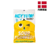 【PALIER】HEY YUM! 丹麥酸水果軟糖100g-